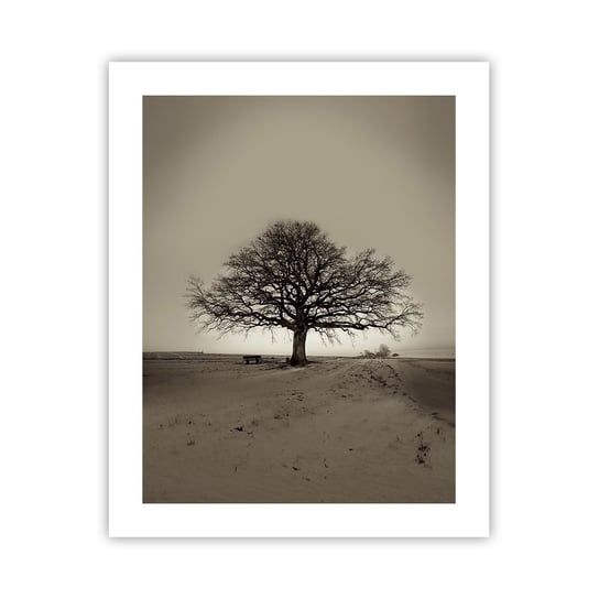 Obraz - Plakat - Stąd do wieczności - 40x50cm - Krajobraz Drzewo Natura - Foto Plakaty bez ramy do Salonu Sypialni ARTTOR ARTTOR