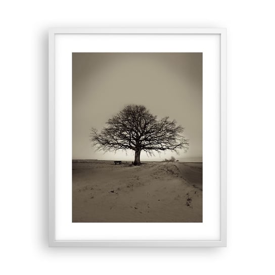 Obraz - Plakat - Stąd do wieczności - 40x50cm - Krajobraz Drzewo Natura - Foto Plakaty w ramie koloru białego do Salonu Sypialni ARTTOR ARTTOR