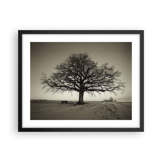 Obraz - Plakat - Stąd do wieczności - 50x40cm - Krajobraz Drzewo Natura - Foto Plakaty w ramie koloru czarnego do Salonu Sypialni ARTTOR ARTTOR