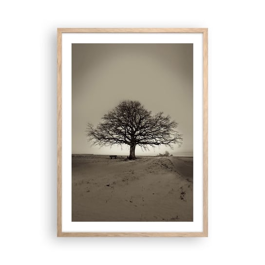 Obraz - Plakat - Stąd do wieczności - 50x70cm - Krajobraz Drzewo Natura - Nowoczesny modny obraz Plakat rama jasny dąb ARTTOR ARTTOR