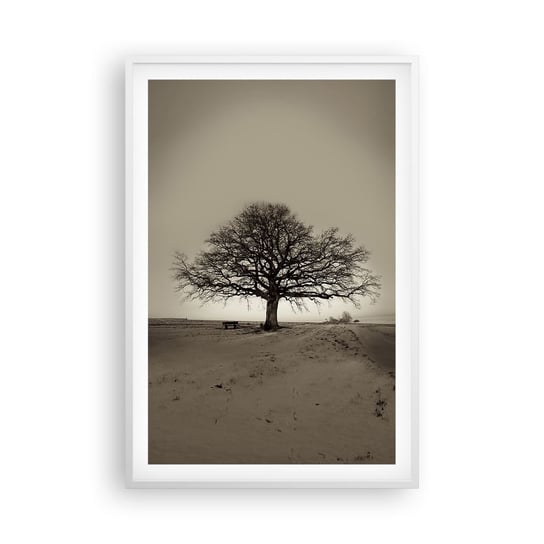 Obraz - Plakat - Stąd do wieczności - 61x91cm - Krajobraz Drzewo Natura - Foto Plakaty na ścianę w ramie białej - Plakat do Salonu Sypialni ARTTOR ARTTOR