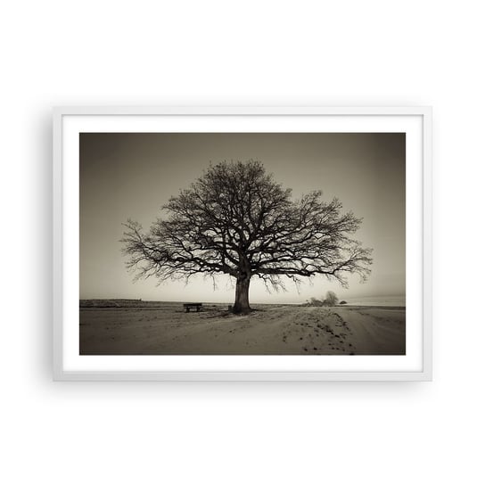 Obraz - Plakat - Stąd do wieczności - 70x50cm - Krajobraz Drzewo Natura - Nowoczesny modny obraz Plakat rama biała ARTTOR ARTTOR