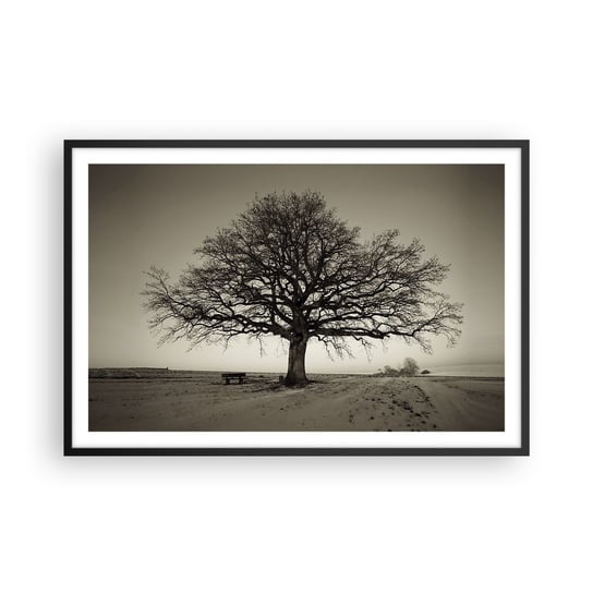Obraz - Plakat - Stąd do wieczności - 91x61cm - Krajobraz Drzewo Natura - Foto Plakaty na ścianę w czarnej ramie - Plakat do Salonu Sypialni ARTTOR ARTTOR