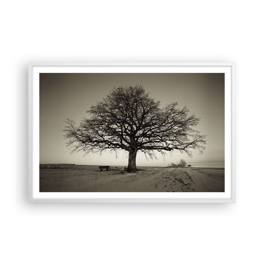 Obraz - Plakat - Stąd do wieczności - 91x61cm - Krajobraz Drzewo Natura - Foto Plakaty na ścianę w ramie białej - Plakat do Salonu Sypialni ARTTOR ARTTOR