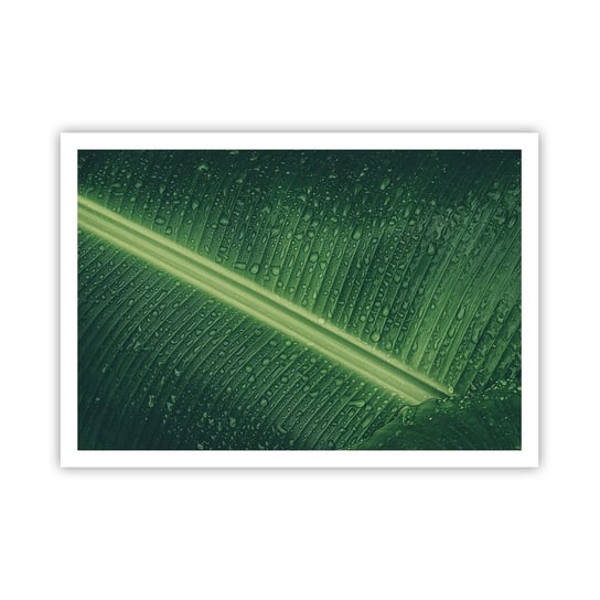 Obraz - Plakat - Struktura zieleni - 100x70cm - Zielony Liść Roślina Tropikalna Sztuka - Foto Plakaty bez ramy na ścianę do Salonu Sypialni ARTTOR ARTTOR
