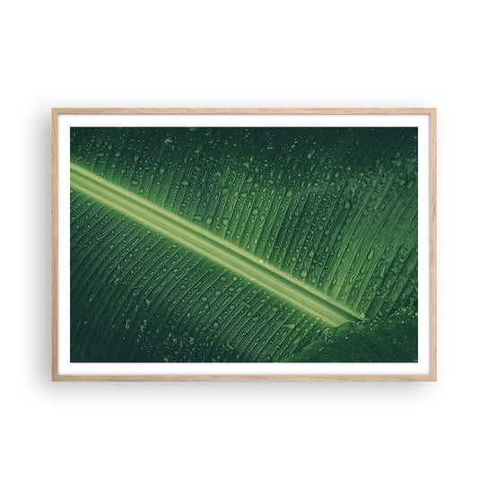 Obraz - Plakat - Struktura zieleni - 100x70cm - Zielony Liść Roślina Tropikalna Sztuka - Foto Plakaty w ramie koloru jasny dąb do Salonu Sypialni ARTTOR ARTTOR