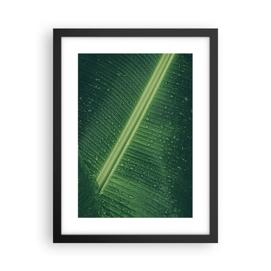 Obraz - Plakat - Struktura zieleni - 30x40cm - Zielony Liść Roślina Tropikalna Sztuka - Foto Plakaty na ścianę w czarnej ramie - Plakat do Salonu Sypialni ARTTOR ARTTOR