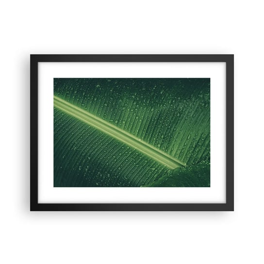 Obraz - Plakat - Struktura zieleni - 40x30cm - Zielony Liść Roślina Tropikalna Sztuka - Foto Plakaty na ścianę w czarnej ramie - Plakat do Salonu Sypialni ARTTOR ARTTOR
