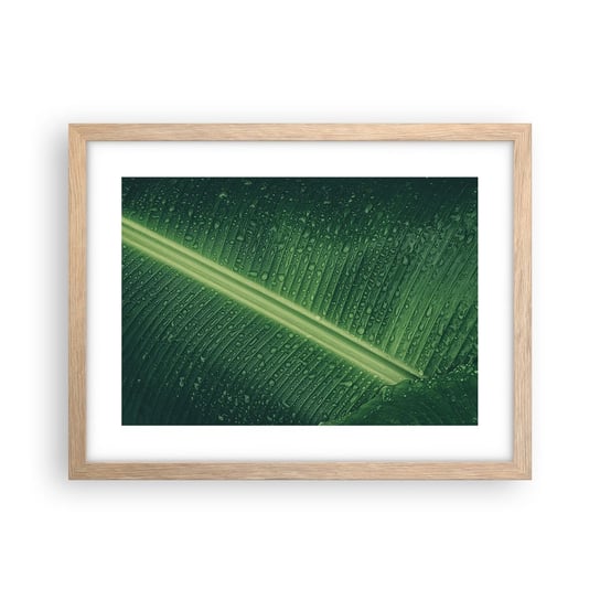 Obraz - Plakat - Struktura zieleni - 40x30cm - Zielony Liść Roślina Tropikalna Sztuka - Foto Plakaty na ścianę w ramie jasny dąb - Plakat do Salonu Sypialni ARTTOR ARTTOR