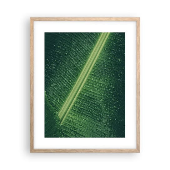 Obraz - Plakat - Struktura zieleni - 40x50cm - Zielony Liść Roślina Tropikalna Sztuka - Foto Plakaty w ramie koloru jasny dąb do Salonu Sypialni ARTTOR ARTTOR