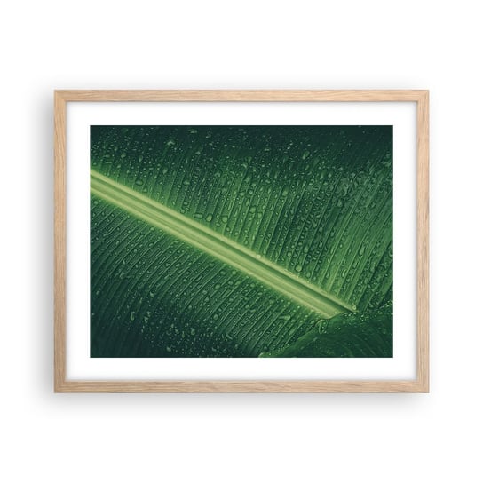 Obraz - Plakat - Struktura zieleni - 50x40cm - Zielony Liść Roślina Tropikalna Sztuka - Foto Plakaty w ramie koloru jasny dąb do Salonu Sypialni ARTTOR ARTTOR