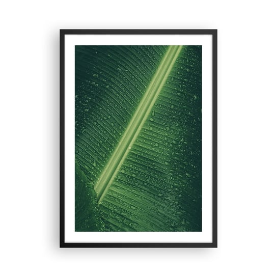 Obraz - Plakat - Struktura zieleni - 50x70cm - Zielony Liść Roślina Tropikalna Sztuka - Nowoczesny modny obraz Plakat czarna rama ARTTOR ARTTOR
