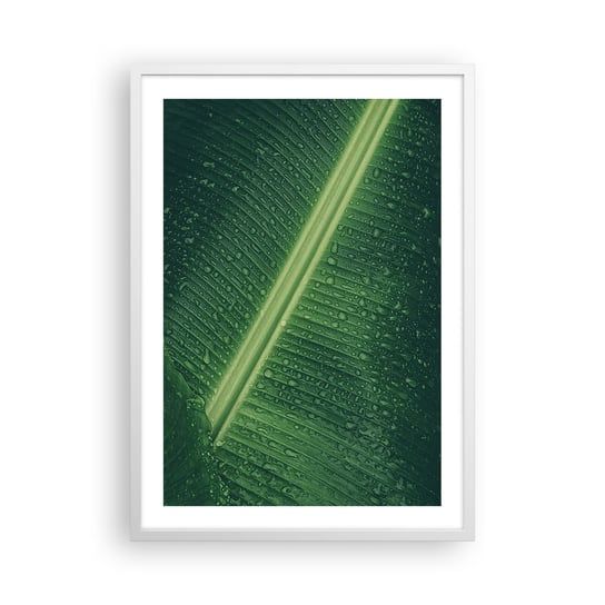 Obraz - Plakat - Struktura zieleni - 50x70cm - Zielony Liść Roślina Tropikalna Sztuka - Nowoczesny modny obraz Plakat rama biała ARTTOR ARTTOR