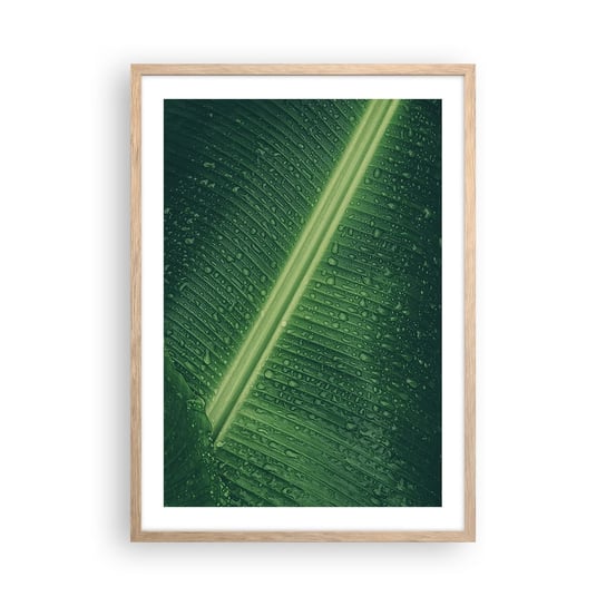 Obraz - Plakat - Struktura zieleni - 50x70cm - Zielony Liść Roślina Tropikalna Sztuka - Nowoczesny modny obraz Plakat rama jasny dąb ARTTOR ARTTOR