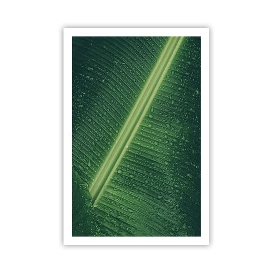 Obraz - Plakat - Struktura zieleni - 61x91cm - Zielony Liść Roślina Tropikalna Sztuka - Foto Plakaty na ścianę bez ramy - Plakat do Salonu Sypialni ARTTOR ARTTOR