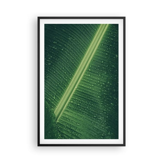Obraz - Plakat - Struktura zieleni - 61x91cm - Zielony Liść Roślina Tropikalna Sztuka - Foto Plakaty na ścianę w czarnej ramie - Plakat do Salonu Sypialni ARTTOR ARTTOR