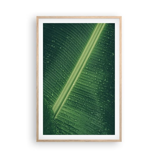 Obraz - Plakat - Struktura zieleni - 61x91cm - Zielony Liść Roślina Tropikalna Sztuka - Foto Plakaty na ścianę w ramie jasny dąb - Plakat do Salonu Sypialni ARTTOR ARTTOR