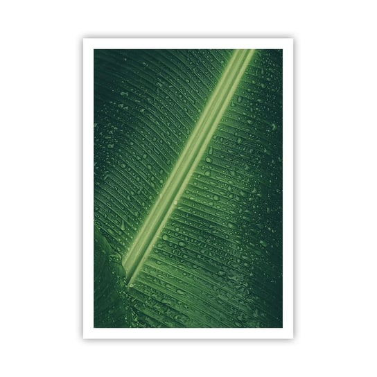 Obraz - Plakat - Struktura zieleni - 70x100cm - Zielony Liść Roślina Tropikalna Sztuka - Foto Plakaty bez ramy na ścianę do Salonu Sypialni ARTTOR ARTTOR