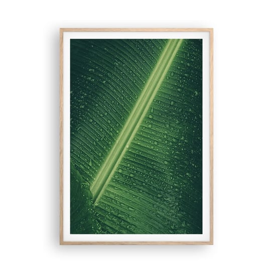 Obraz - Plakat - Struktura zieleni - 70x100cm - Zielony Liść Roślina Tropikalna Sztuka - Foto Plakaty w ramie koloru jasny dąb do Salonu Sypialni ARTTOR ARTTOR