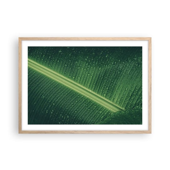 Obraz - Plakat - Struktura zieleni - 70x50cm - Zielony Liść Roślina Tropikalna Sztuka - Nowoczesny modny obraz Plakat rama jasny dąb ARTTOR ARTTOR