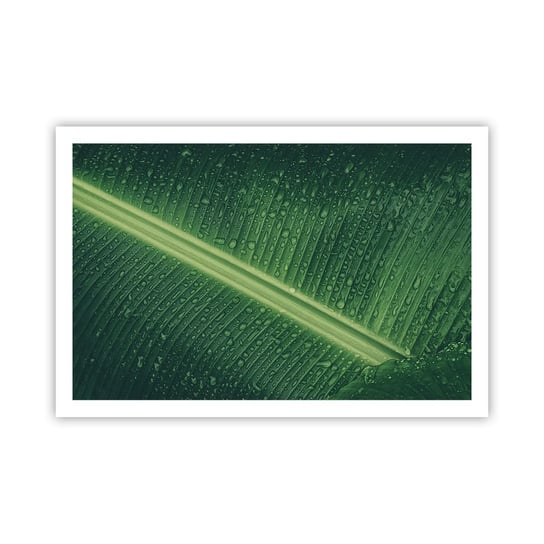 Obraz - Plakat - Struktura zieleni - 91x61cm - Zielony Liść Roślina Tropikalna Sztuka - Foto Plakaty na ścianę bez ramy - Plakat do Salonu Sypialni ARTTOR ARTTOR