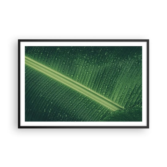 Obraz - Plakat - Struktura zieleni - 91x61cm - Zielony Liść Roślina Tropikalna Sztuka - Foto Plakaty na ścianę w czarnej ramie - Plakat do Salonu Sypialni ARTTOR ARTTOR