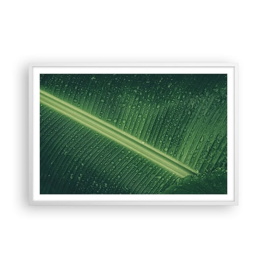 Obraz - Plakat - Struktura zieleni - 91x61cm - Zielony Liść Roślina Tropikalna Sztuka - Foto Plakaty na ścianę w ramie białej - Plakat do Salonu Sypialni ARTTOR ARTTOR