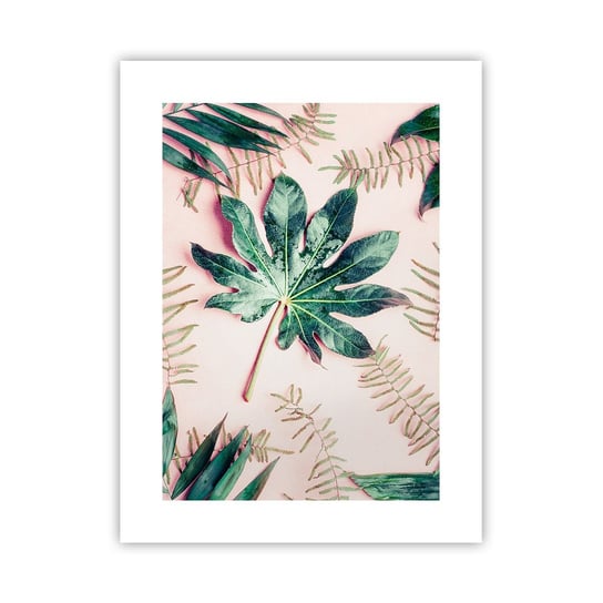 Obraz - Plakat - Studium zieleni na różowym tle - 30x40cm - Roślina Tropikalna Liście Palmowe Liść Paproci - Foto Plakaty na ścianę bez ramy - Plakat do Salonu Sypialni ARTTOR ARTTOR