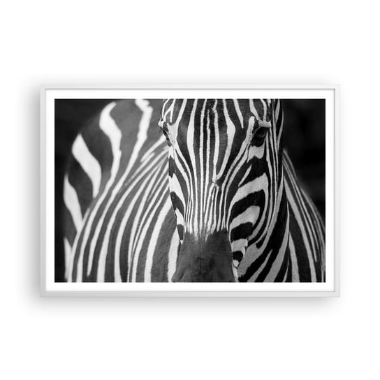 Obraz - Plakat - Świat jest czarno-biały - 100x70cm - Zwierzęta Zebra Czarno-Biały - Foto Plakaty w ramie koloru białego do Salonu Sypialni ARTTOR ARTTOR