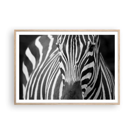 Obraz - Plakat - Świat jest czarno-biały - 100x70cm - Zwierzęta Zebra Czarno-Biały - Foto Plakaty w ramie koloru jasny dąb do Salonu Sypialni ARTTOR ARTTOR