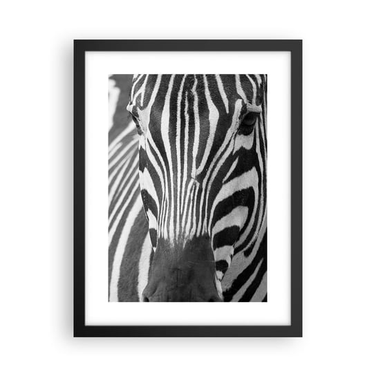 Obraz - Plakat - Świat jest czarno-biały - 30x40cm - Zwierzęta Zebra Czarno-Biały - Foto Plakaty na ścianę w czarnej ramie - Plakat do Salonu Sypialni ARTTOR ARTTOR