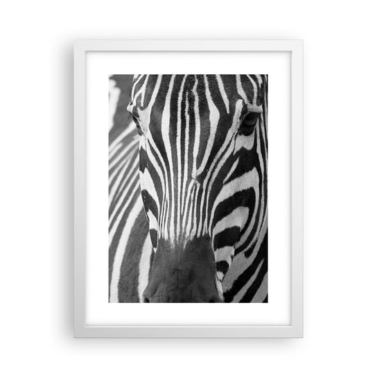 Obraz - Plakat - Świat jest czarno-biały - 30x40cm - Zwierzęta Zebra Czarno-Biały - Foto Plakaty na ścianę w ramie białej - Plakat do Salonu Sypialni ARTTOR ARTTOR