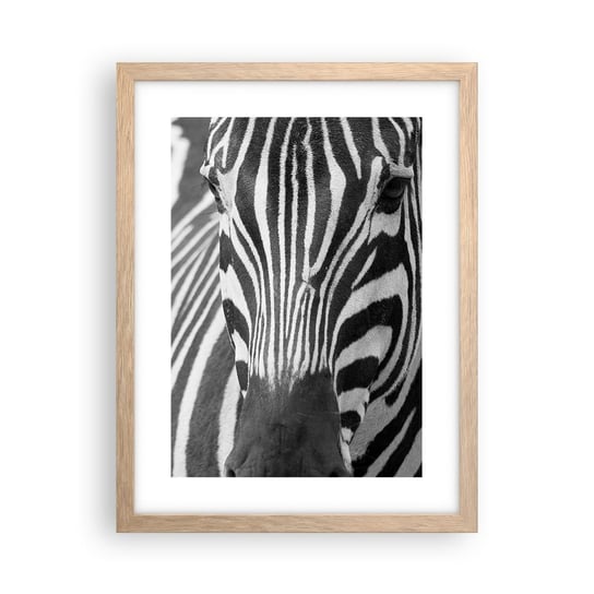 Obraz - Plakat - Świat jest czarno-biały - 30x40cm - Zwierzęta Zebra Czarno-Biały - Foto Plakaty na ścianę w ramie jasny dąb - Plakat do Salonu Sypialni ARTTOR ARTTOR