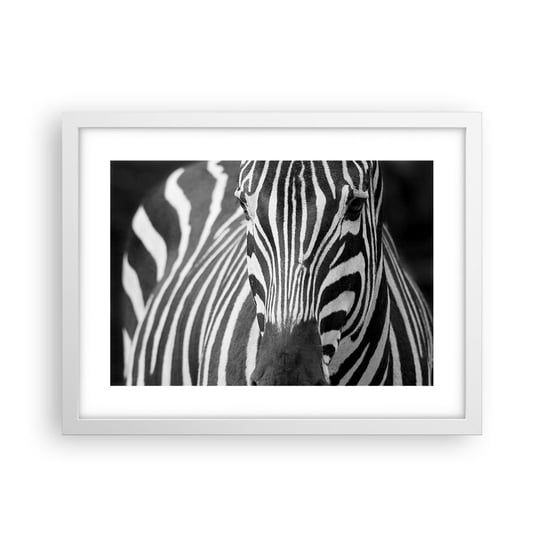 Obraz - Plakat - Świat jest czarno-biały - 40x30cm - Zwierzęta Zebra Czarno-Biały - Foto Plakaty na ścianę w ramie białej - Plakat do Salonu Sypialni ARTTOR ARTTOR
