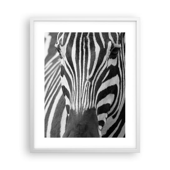 Obraz - Plakat - Świat jest czarno-biały - 40x50cm - Zwierzęta Zebra Czarno-Biały - Foto Plakaty w ramie koloru białego do Salonu Sypialni ARTTOR ARTTOR