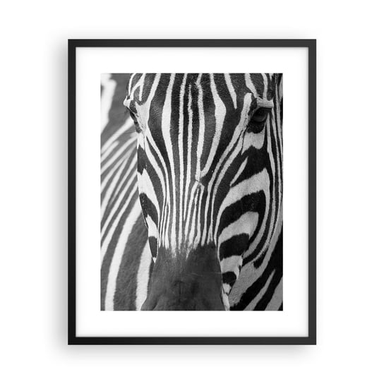 Obraz - Plakat - Świat jest czarno-biały - 40x50cm - Zwierzęta Zebra Czarno-Biały - Foto Plakaty w ramie koloru czarnego do Salonu Sypialni ARTTOR ARTTOR