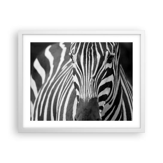 Obraz - Plakat - Świat jest czarno-biały - 50x40cm - Zwierzęta Zebra Czarno-Biały - Foto Plakaty w ramie koloru białego do Salonu Sypialni ARTTOR ARTTOR