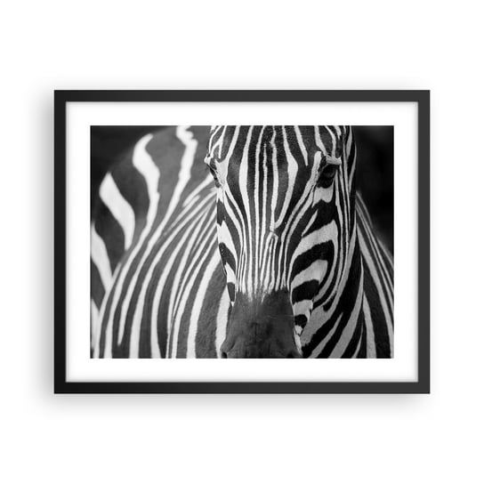 Obraz - Plakat - Świat jest czarno-biały - 50x40cm - Zwierzęta Zebra Czarno-Biały - Foto Plakaty w ramie koloru czarnego do Salonu Sypialni ARTTOR ARTTOR