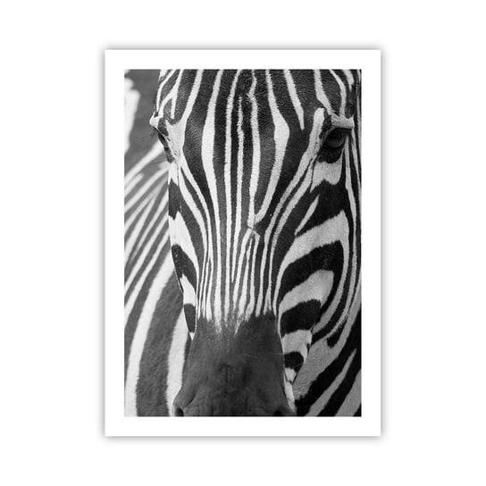 Obraz - Plakat - Świat jest czarno-biały - 50x70cm - Zwierzęta Zebra Czarno-Biały - Nowoczesny modny obraz Plakat bez ramy do Salonu Sypialni ARTTOR ARTTOR