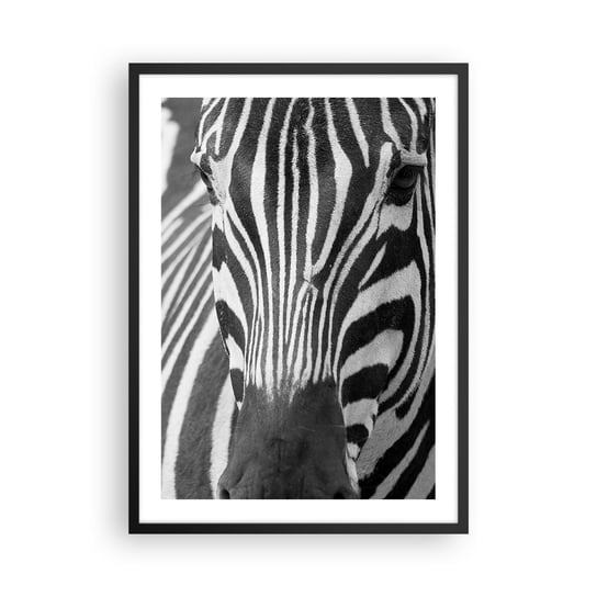 Obraz - Plakat - Świat jest czarno-biały - 50x70cm - Zwierzęta Zebra Czarno-Biały - Nowoczesny modny obraz Plakat czarna rama ARTTOR ARTTOR