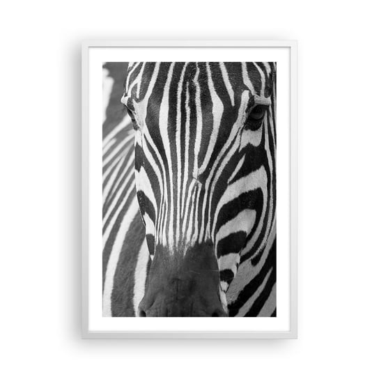 Obraz - Plakat - Świat jest czarno-biały - 50x70cm - Zwierzęta Zebra Czarno-Biały - Nowoczesny modny obraz Plakat rama biała ARTTOR ARTTOR