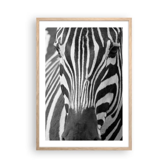 Obraz - Plakat - Świat jest czarno-biały - 50x70cm - Zwierzęta Zebra Czarno-Biały - Nowoczesny modny obraz Plakat rama jasny dąb ARTTOR ARTTOR