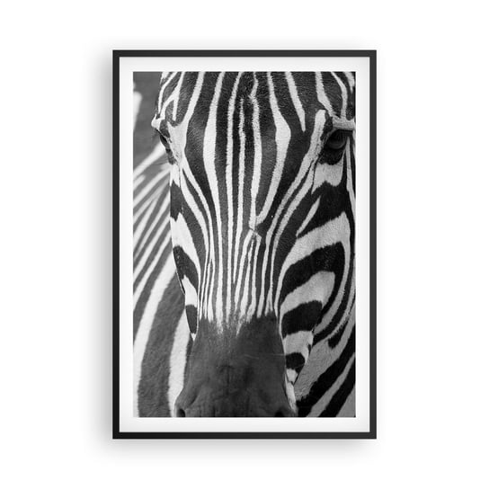 Obraz - Plakat - Świat jest czarno-biały - 61x91cm - Zwierzęta Zebra Czarno-Biały - Foto Plakaty na ścianę w czarnej ramie - Plakat do Salonu Sypialni ARTTOR ARTTOR