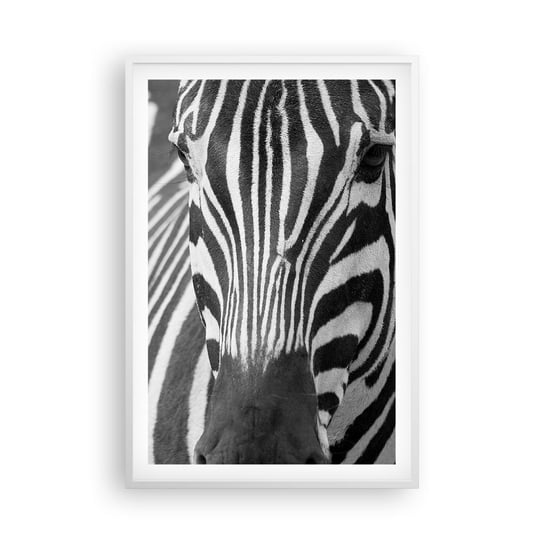 Obraz - Plakat - Świat jest czarno-biały - 61x91cm - Zwierzęta Zebra Czarno-Biały - Foto Plakaty na ścianę w ramie białej - Plakat do Salonu Sypialni ARTTOR ARTTOR