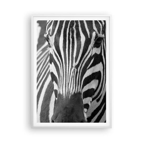 Obraz - Plakat - Świat jest czarno-biały - 70x100cm - Zwierzęta Zebra Czarno-Biały - Foto Plakaty w ramie koloru białego do Salonu Sypialni ARTTOR ARTTOR