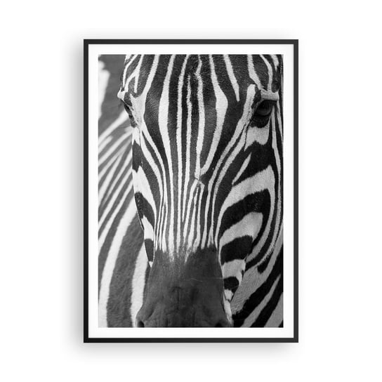 Obraz - Plakat - Świat jest czarno-biały - 70x100cm - Zwierzęta Zebra Czarno-Biały - Foto Plakaty w ramie koloru czarnego do Salonu Sypialni ARTTOR ARTTOR