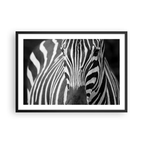 Obraz - Plakat - Świat jest czarno-biały - 70x50cm - Zwierzęta Zebra Czarno-Biały - Nowoczesny modny obraz Plakat czarna rama ARTTOR ARTTOR