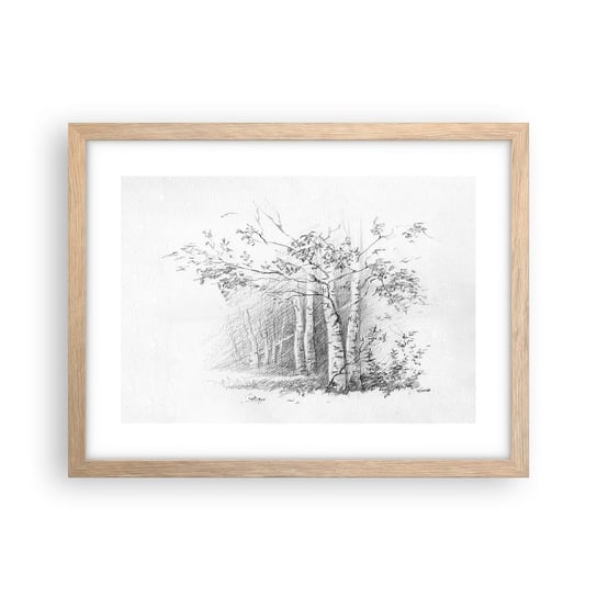 Obraz - Plakat - Światło brzozowego lasu - 40x30cm - Las Brzoza Drzewa - Foto Plakaty na ścianę w ramie jasny dąb - Plakat do Salonu Sypialni ARTTOR ARTTOR