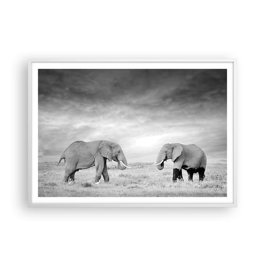 Obraz - Plakat - Szare jest piękne - 100x70cm - Słoń Zwierzęta Safari - Foto Plakaty w ramie koloru białego do Salonu Sypialni ARTTOR ARTTOR