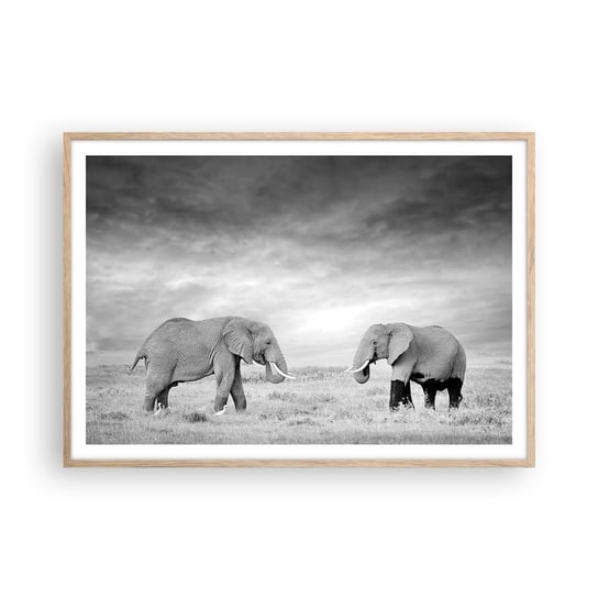 Obraz - Plakat - Szare jest piękne - 100x70cm - Słoń Zwierzęta Safari - Foto Plakaty w ramie koloru jasny dąb do Salonu Sypialni ARTTOR ARTTOR